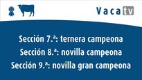 Campionato de xatas e xovencas