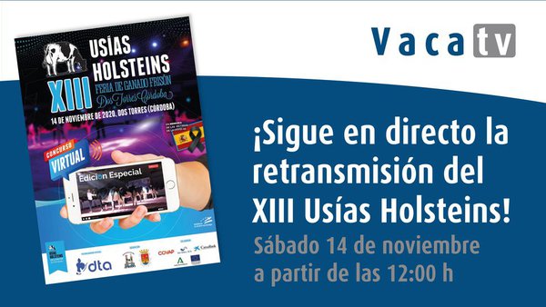 ¡El concurso frisón de los Usías, en directo con Vaca Pinta!