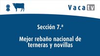 Mellor rabaño e mellor criador nacionais de xatas e xovencas