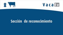 Sección de recoñecemento