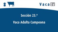 Mellor vaca adulta campiona nacional