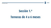 Xatas de 4 a 6 meses