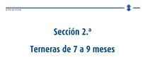 Xatas de 7 a 9 meses