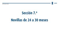 Xovencas de 24 a 30 meses