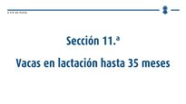 Vacas en lactación ata 35 meses
