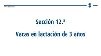 Vacas en lactación de 3 anos