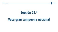 Vaca gran campiona nacional