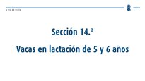 Vacas en lactación de 5 e 6 anos