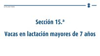Vacas en lactación maiores de 7 anos