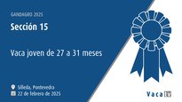 Vaca joven de 27 a 31 meses
