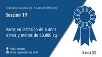 Vacas en lactación de 6 anos ou máis e menos de 60.000 kg