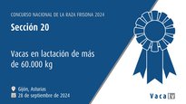 Vacas en lactación de máis de 60.000 kg