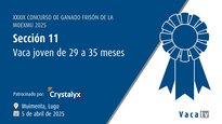Vaca nova de 29 a 35 meses