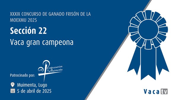 Vaca gran campeona