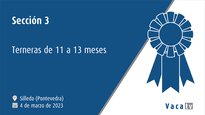 Sección 3. Terneras de 11 a 13 meses