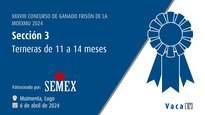 Terneras de 11 a 14 meses