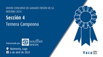 Ternera campeona