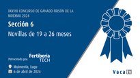 Novillas de 19 a 26 meses