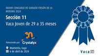Vaca joven de 29 a 35 meses