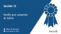 Sección 13. Novilla gran campeona de Galicia