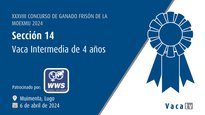 Vaca intermedia de 4 años