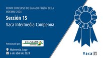 Vaca intermedia campeona