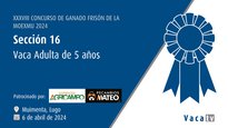 Vaca adulta de 5 años