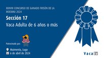 Vaca adulta de 6 años o más