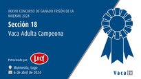 Vaca adulta campeona