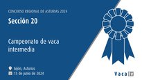 Sección 20: Campionato de vaca intermedia