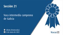 Sección 21. Vaca intermedia campeona de Galicia