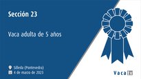 Sección 23. Vaca adulta de 5 años