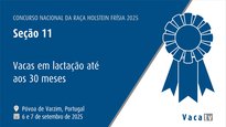 Vacas en lactación ata 30 meses