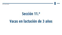 Vacas en lactación de 3 anos