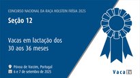 Vacas en lactación de 30 a 36 meses