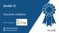 Sección 12. Vaca joven campeona