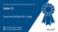Vacas en lactación de 3 anos