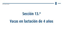 Vacas en lactación de 4 anos