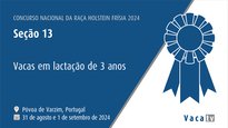 Vacas en lactación de 3 anos