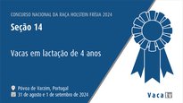 Vacas en lactación de 4 anos