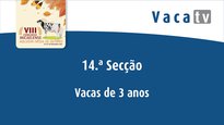 Vacas de 3 años