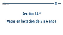 Vacas en lactación de 5 a 6 anos