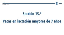 Vacas en lactación maiores de 7 anos