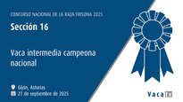 Vaca intermedia campiona nacional