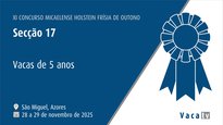 Vacas de 5 anos