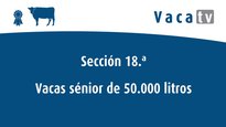 Vacas sénior de 6 años o más con más de 50.000 litros producidos