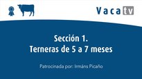 Sección 1. Terneras de 5 a 7 meses