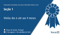 Xatas de 6 a 9 meses