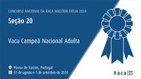 Vaca adulta campiona nacional