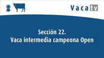 Sección 22. Vaca intermedia campeona Open Feiradeza 2022